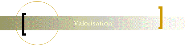 Valorisation
