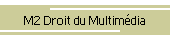 M2 Droit du Multimdia